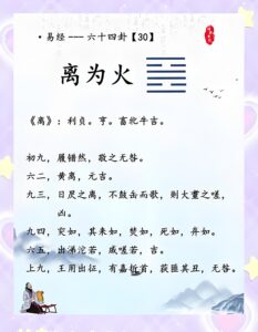 离卦